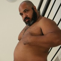 Arabian bear Ali - Picture 8