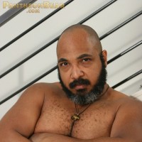 Arabian bear Ali - Picture 20