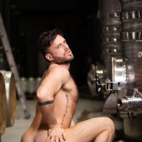 Chardogay - Picture 14
