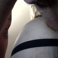 Alented Wreck - Picture 12