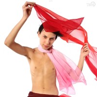Ellis - Picture 1