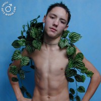 Nok - Picture 11