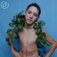 Nok - Picture 12