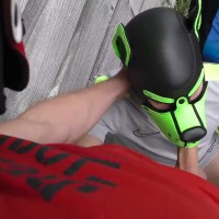 Two alphas fuck their pups in outdoor fourway - Picture 6