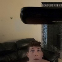 Bait Trap - Picture 1