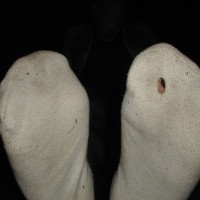 Bearfoot wrestler - Picture 11
