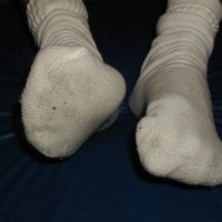 Bearfoot wrestler - Picture 12