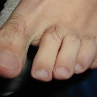 Bearfoot wrestler - Picture 16