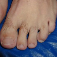 Bearfoot wrestler - Picture 20