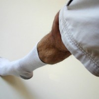 Australian boy shows off his socks - Picture 16