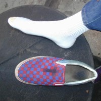 Shane's White Socks - Picture 18