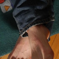 Jerry - Picture 45