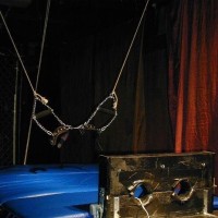 Biker boy torture - Picture 3