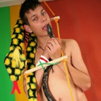 Dale and the snake - Picture 5