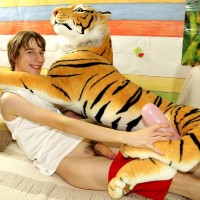 Finn and the tiger - Picture 5