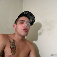 Drac - Picture 2
