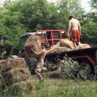 Zane Belville & & Charlie Musk - Picture 1