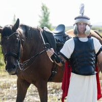 Dawn of the gladiators, part 2 - Picture 1
