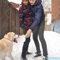 Fooling Around on a Winter Day - Picture 17