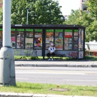 Bus station pick up - Picture 12