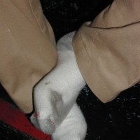 Michael shows off his socks - Picture 2