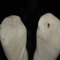 Michael shows off his socks - Picture 5