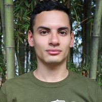 Nothing like a military man - Picture 1