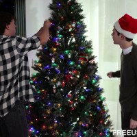 Two twinks under the tree - Picture 2