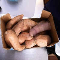 Culinary cock - Picture 8