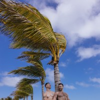 Beach Boys - Picture 2