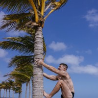 Beach Boys - Picture 15