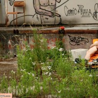 Florus - Picture 19