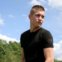 Robin - Picture 1