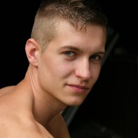 Robin - Picture 5