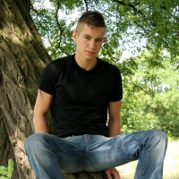 Robin - Picture 2
