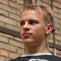 Sander - Picture 1