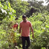 Joaquín & Antonio - Picture 1
