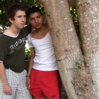 Diego, Felipe and Andres - Picture 2