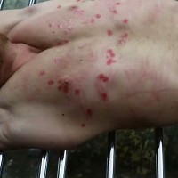 Pain slave Pavel - Picture 30