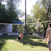 Dustin Fitch and Joey Perelli - Picture 1