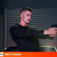 The fixer - Picture 4