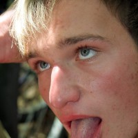 Horny Studs - Picture 12