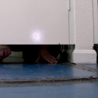 The Park Toilets - Picture 8