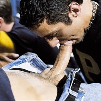 Hazed - Picture 11
