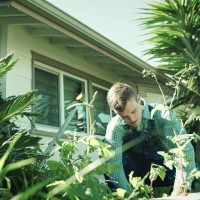 The Creepery - Picture 1