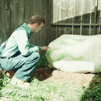 The Creepery - Picture 3