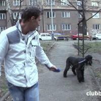 Bang Boys - Picture 1