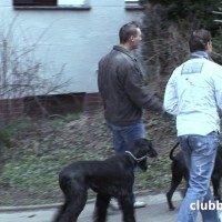 Bang Boys - Picture 2