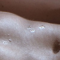 Muscle Studs - Picture 18