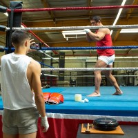Dudes In Public 37 - Boxing Ring - Picture 2